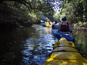 Mangrove Creek