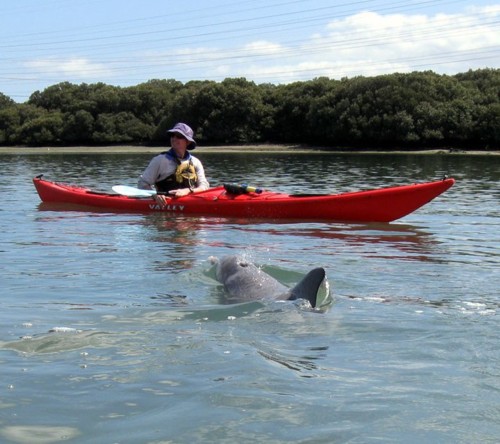 Tom Trewartha and Dolphin